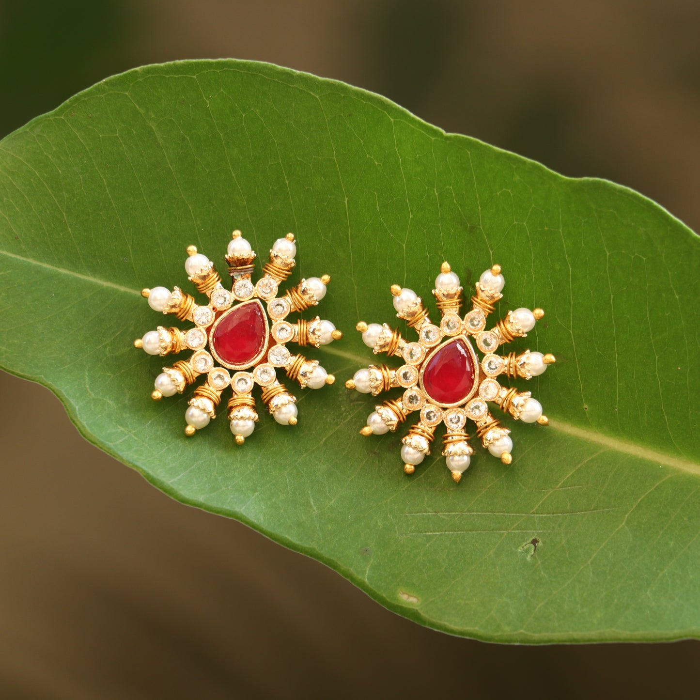 Interchangeable Earrings - Total 6 Colors